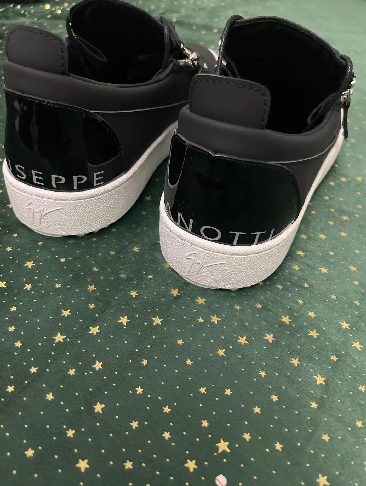 Giuseppe Zanotti Frankie, imaginea 8